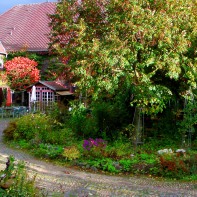 Gartenhof von Löw im Herbst 2013