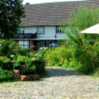 Der Gartenhof im Juni 2013