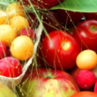 Tomaten, Mirabellen, Pflaumen, Äpfel, eine Rose und Getränk ... alles streng BIO, versteht sich ...