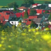 Rapsfeld oberhalb Steinfurths