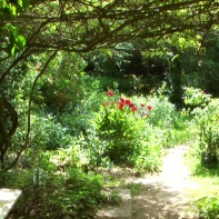 Blick in den Garten hinter der alten Zehntscheune im Sommer 2012