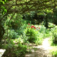 Blick in den Garten hinter der alten Zehntscheune im Sommer 2012