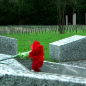 Einsam verstorbene werden künftig nicht mehr so leicht vergessen sein. Neue Gedenksteine auf dem Öjendorder Friedhof erinnern an Verstorbene ohne Angehörige. (Foto: Max Bryan)